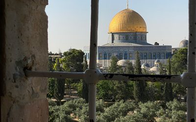 Blog Overview