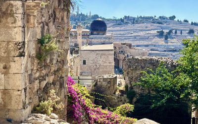 Sights and Sounds in the Old City of Jerusalem